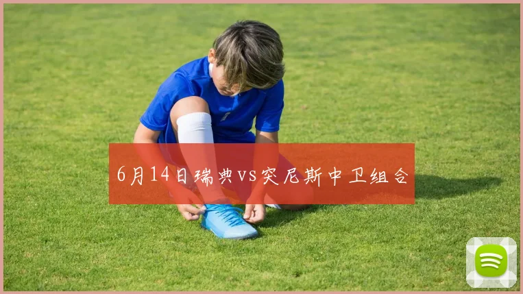 6月14日瑞典vs突尼斯中卫组合