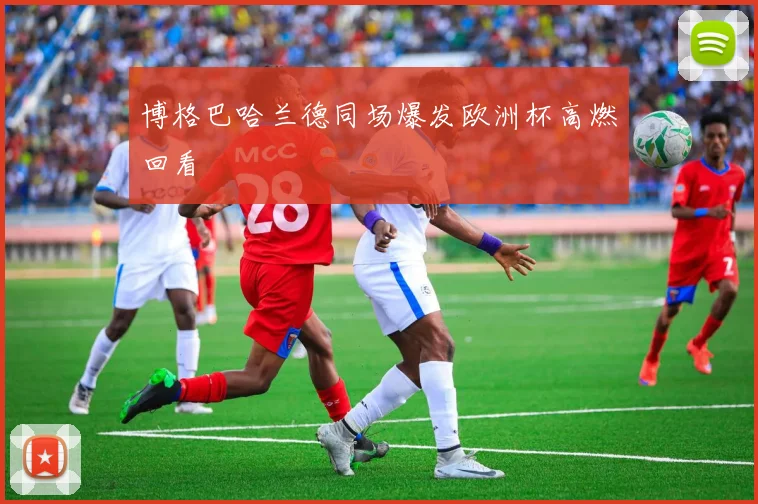 博格巴哈兰德同场爆发欧洲杯高燃回看