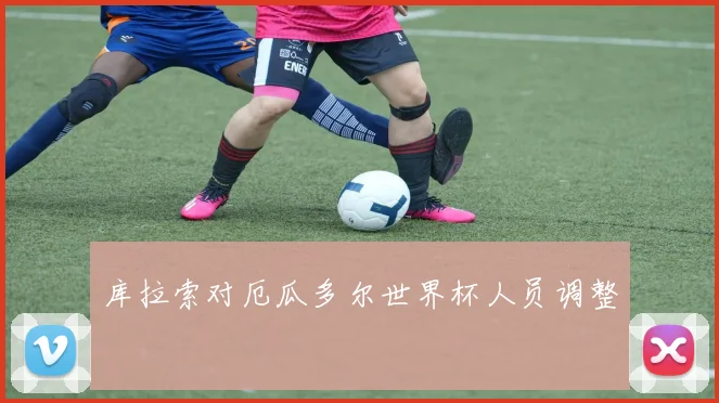 库拉索对厄瓜多尔世界杯人员调整