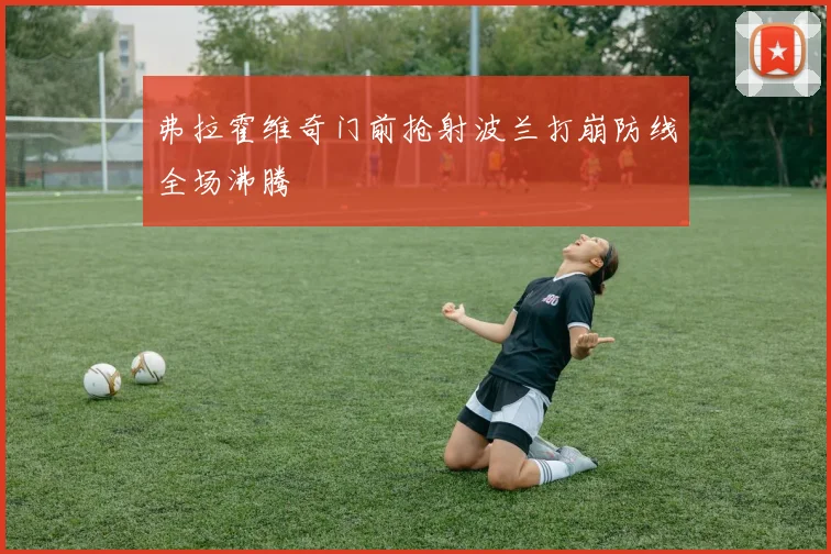 弗拉霍维奇门前抢射波兰打崩防线全场沸腾